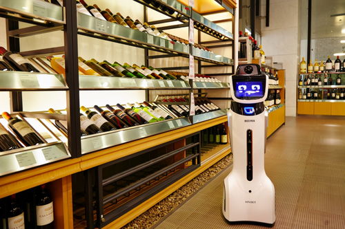 教育服务机器人 为人类提供更优质教育的现实挑战与机遇