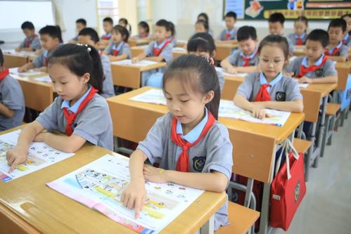 落实'双减'看高新七 课后服务，让教育更有温度